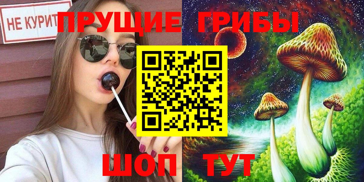 Псилоцибиновые грибы MAGIC MUSHROOMS  Вход с VPN  Новоалтайск 